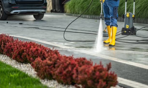 Deck Cleaning Services in Carlstadt, NJ