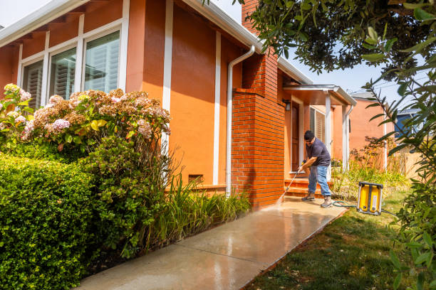 Best Deck Cleaning Services  in Carlstadt, NJ