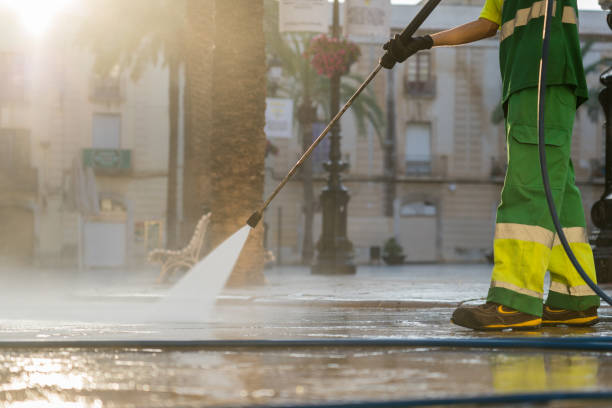 Best Roof Power Washing Services  in Carlstadt, NJ